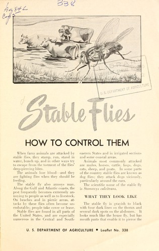Stable flies