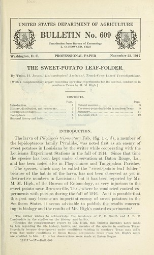 The sweet-potato leaf-folder