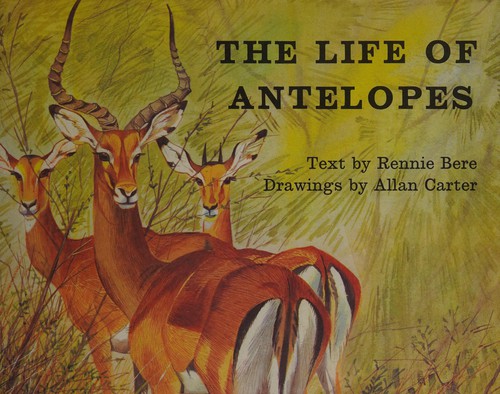The Life of Antelopes