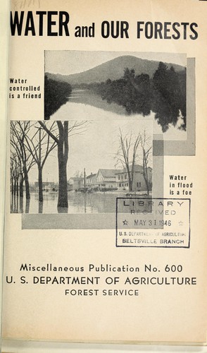 Water and our forests