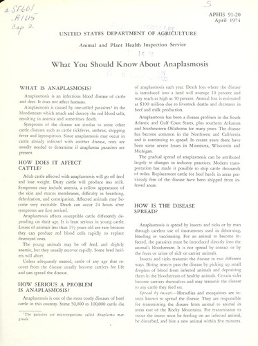 What you should know about anaplasmosis