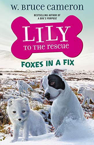 Foxes in a Fix