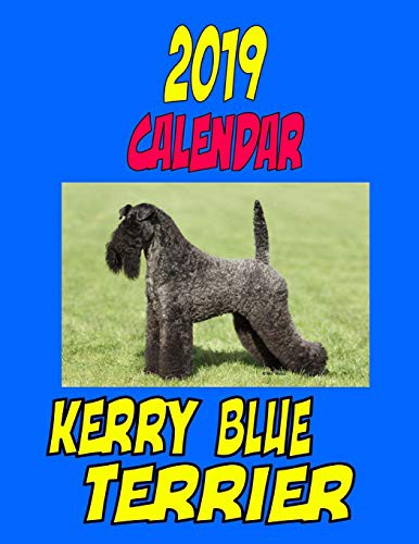 2019 Calendar Kerry Blue Terrier