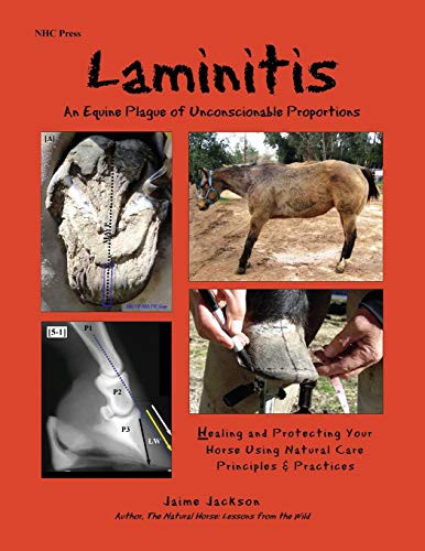 Laminitis : An Equine Plague of Unconscionable Proportions