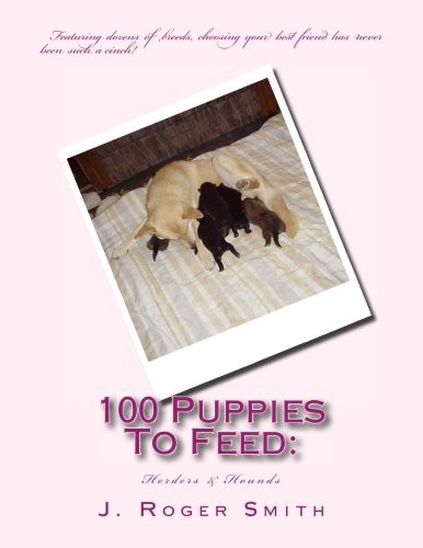 100 Puppies To Feed