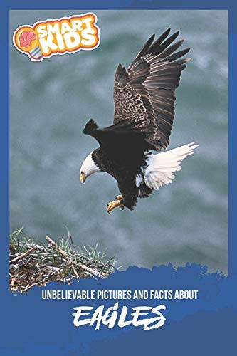 Unbelievable Pictures and Facts About Eagles