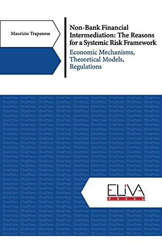 Non-Bank Financial Intermediation : The Reasons for a Systemic Risk Framework