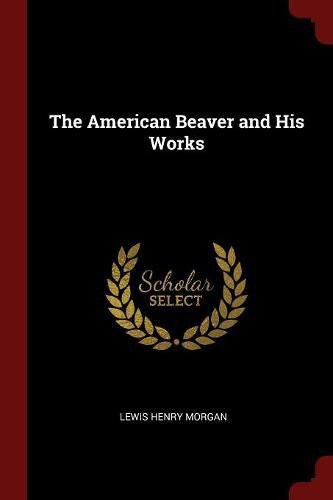 The American Beaver and His Works