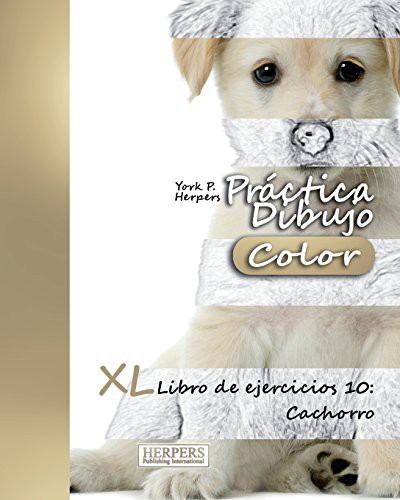 Práctica Dibujo [Color] - XL Libro de ejercicios 10