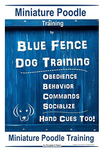 Miniature Poodle By Blue Fence | Dog Training, Obedience – Behavior Commands – Socialize, Hand Cues Too! Miniature Poodle Training