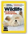 Wildlife, the Greatest Photographs