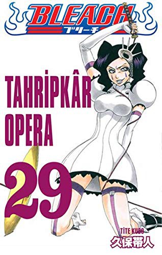 Bleach 29. Cilt