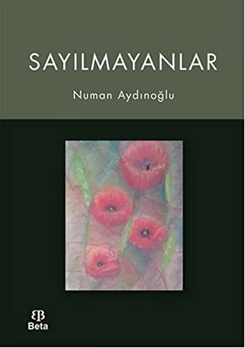 Sayilmayanlar