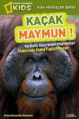 Kacak Maymun