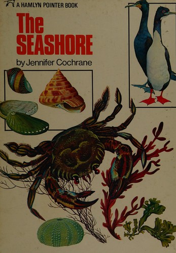The seashore