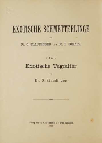 Exotische schmetterlinge