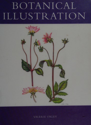 Botanical illustration