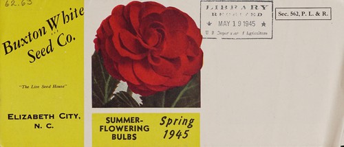 Summer-flowering bulbs, spring 1945