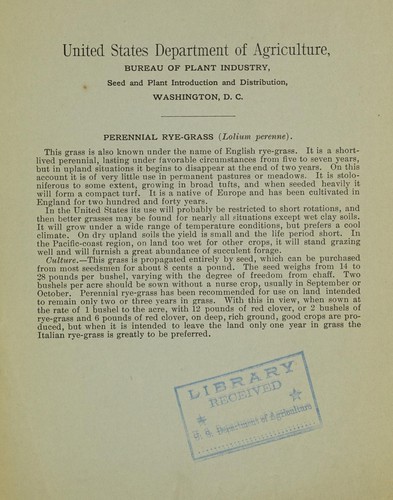 Perennial rye-grass (Lolium perenne)