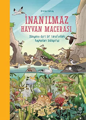 Inanilmaz Hayvan Macerasi