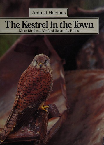 The Kestrel in the Town (Animal Habitats)
