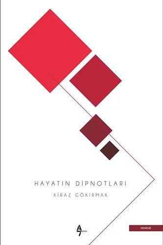 Hayatın Dipnotları