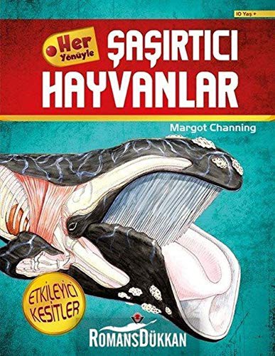 Her Yönüyle Sasirtici Hayvanlar