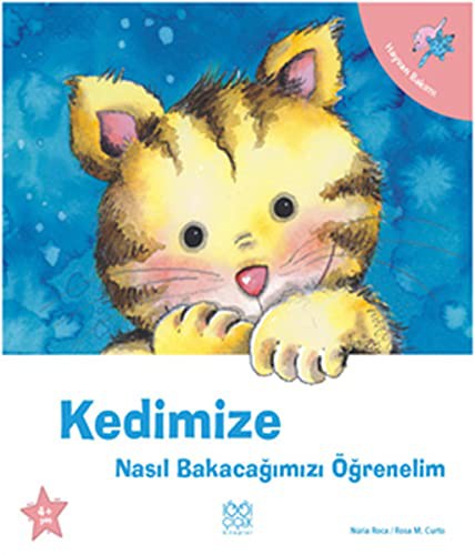 Kedimize Nasil Bakacagimizi Ogrenelim
