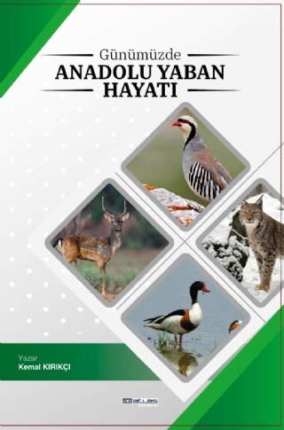 Günümüzde Anadolu Yaban Hayati