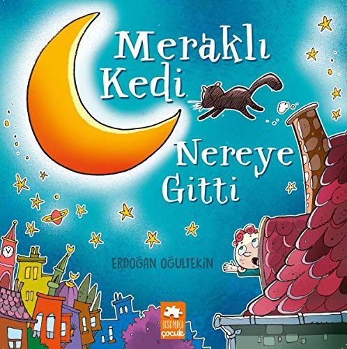 Merakli Kedi Nereye Gitti