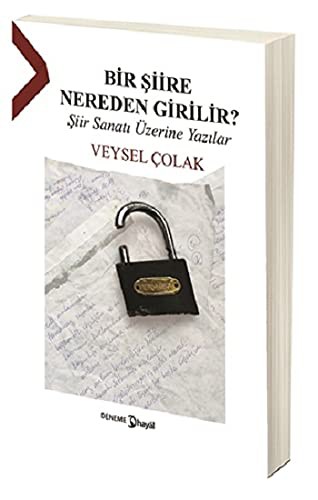 Bir Siire Nereden Girilir?