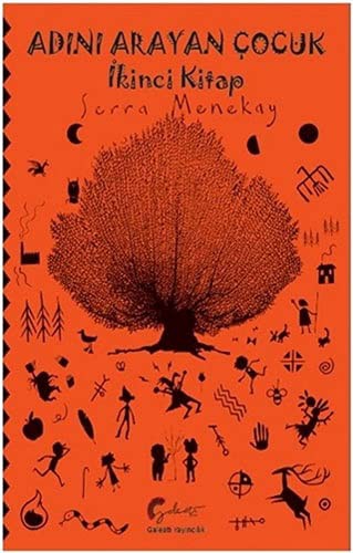 Adini Arayan Çocuk - Ikinci Kitap