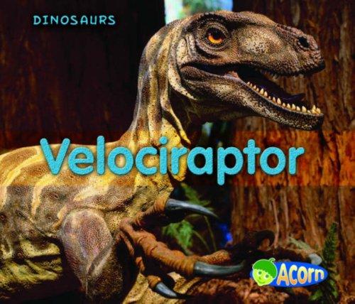 Velociraptor (Dinosaurs)