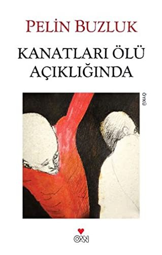 Kanatlari Olu Acikliginda