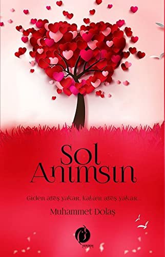 Sol Animsin