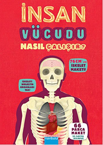 Insan Vucudu Nasil Calisir