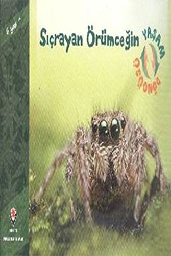 Siçrayan Örümcegin Yasam Döngüsü. Translated by Zülfe Eyles