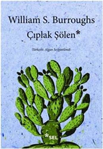 Ciplak Solen