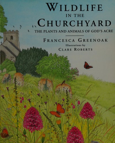 Wildlife in the Churchyard