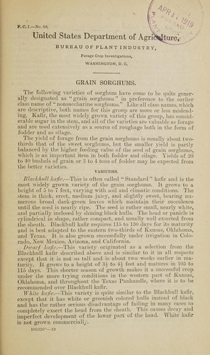 Grain sorghums