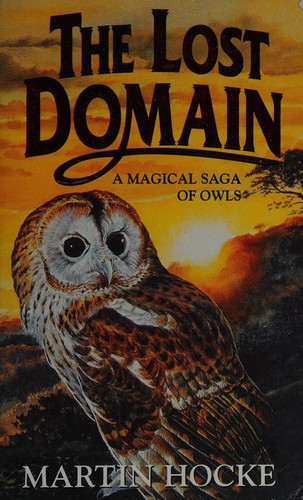 The lost domain
