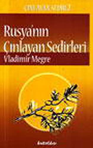 Rusya'nin Cinlayan Sedirleri - Cinlayan Sedir 2