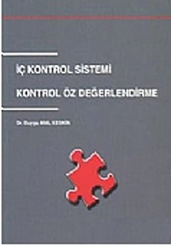 İç Kontrol Sistemi