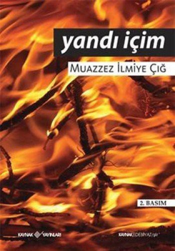 Yandi Icim