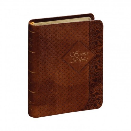 RVR60 Bible - Coffee Color Cover