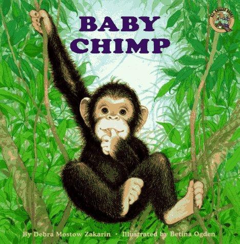 Baby chimp