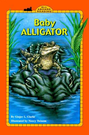 Baby Alligator GB