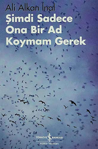 Simdi Sadece Ona Bir Ad Koymam Gerek