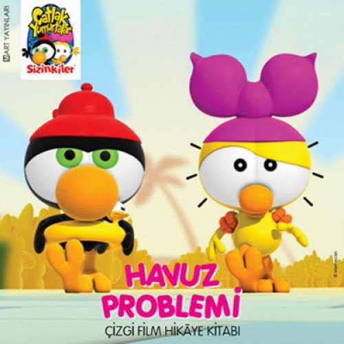 Havuz Problemi