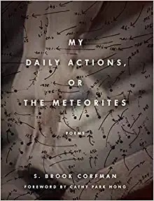 My Daily Actions, or the Meteorites
